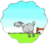 Ekspert